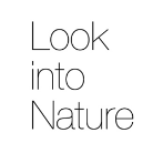 Look into nature