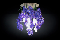 Flower power vanda round