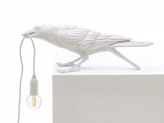 Bird lamp playing