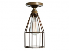 Raze flush cage light