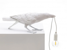 Bird lamp playing