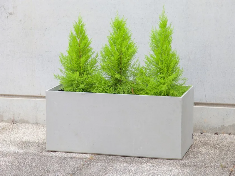 Box planter White