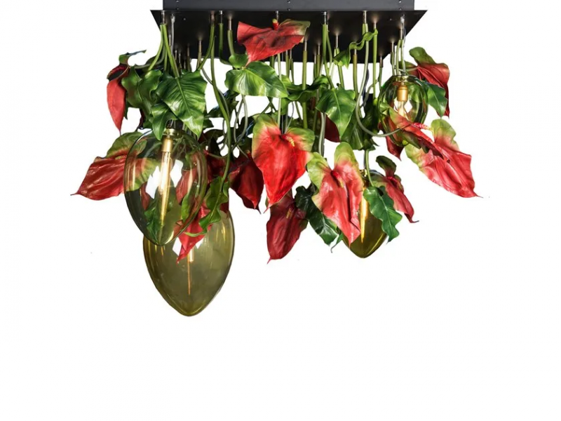 Flower power anthurium red eggs