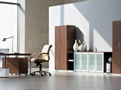 Reiss cabinet system