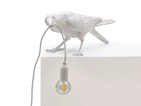 Bird lamp playing