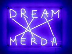 Dream merda