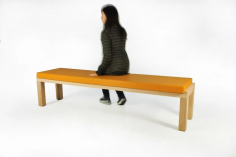 Camping bench 220