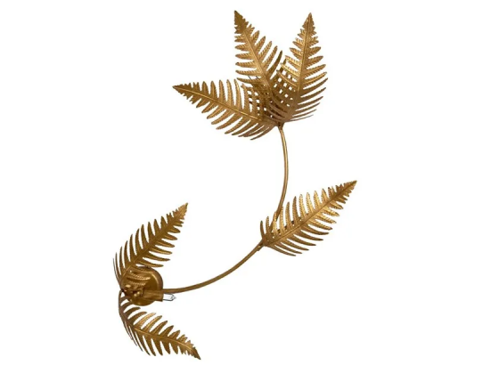 Fern medium