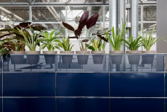 World of plants for usm haller