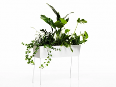 Green pedestals