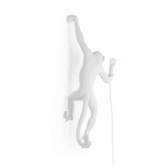 The monkey lamp hanging