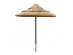 Reedy sun umbrella