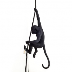 The monkey lamp black ceiling