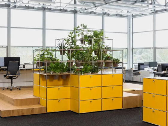 World of plants for usm haller