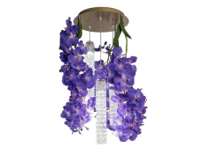 Flower power vanda round