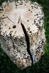 Bricola venezia stool