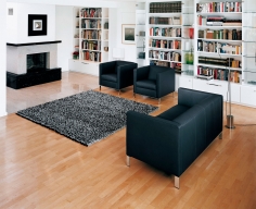 Кресло Foster 501 фабрики Walter Knoll