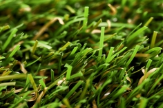 Synthetic grass