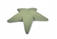 Starfish xl