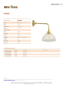 DHAKA INDUSTRIAL WALL LIGHT (en)