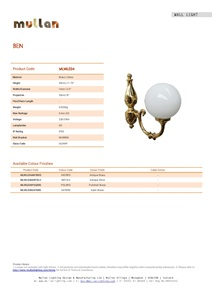 BEN SINGLE ARM TRADITIONAL WALL LIGHT (en)