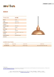 BERLIN VINTAGE COPPER PENDANT LIGHT (en)