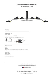 P6B - US Version (en)