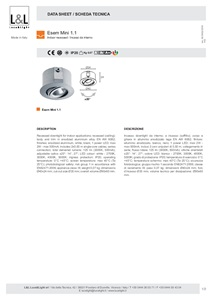 ST ESEM MINI 1.1 (en, it)