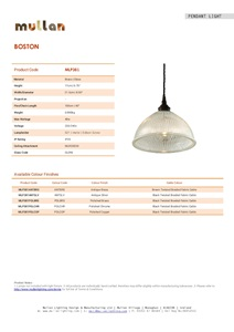 BOSTON INDUSTRIAL HOLOPHANE PENDANT (en)