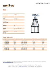 Raze Flush Cage Light (en)