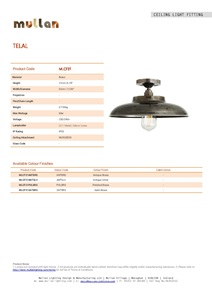 Telal Minimalist Factory Ceiling Fitting (en)