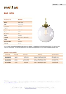 RIAD 25CM CLEAR GLOBE PENDANT (en)