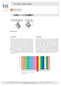 ST ZAB TRACK 3.1 (en, it)