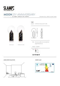 Moon 25th Anniversary (en)