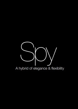 Spy (en)