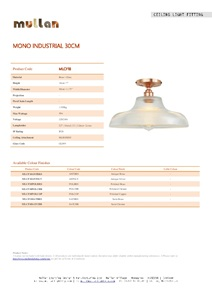 Mono idustrial 30 cm Railway Flush Fitting (en)