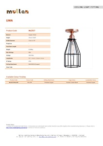 Lima Flush Cage Light (en)