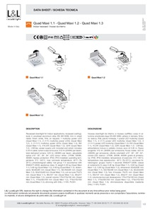 ST QUAD MAXI 1.3 (en, it)