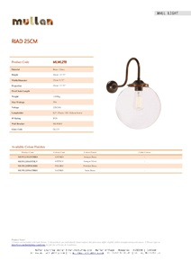 RIAD 250MM CLEAR GLOBE WALL LIGHT (en)