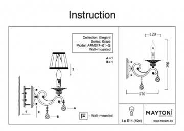 instruction ARM247 01 G (eng)