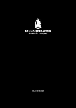 Bruno Spreafico 2023 (it, en, ru, cn, ar)