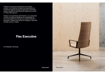 Flex executive (en, es)