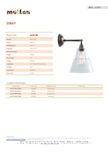 STRAFF INDUSTRIAL WALL LIGHT (en)