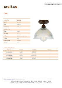 Erbil Prismatic Flush Ceiling Fitting (en)