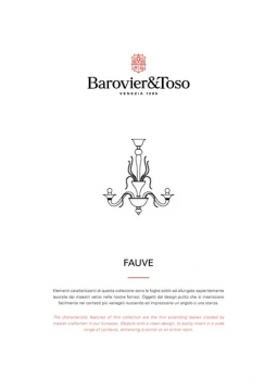 Fauve Brochure (it, en)