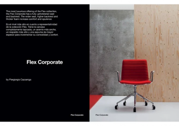 Flex corporate (en, es)