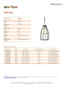 RAZE CAGE PENDANT LIGHT (en)