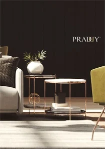 PRADDY Brochure (en)