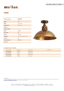 Paris Industrial Brass Ceiling Fitting (en)