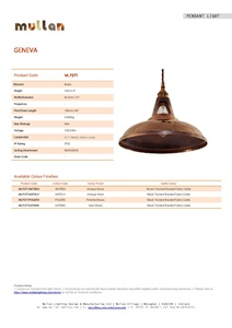 GENEVA INDUSTRIAL BRASS PENDANT (en)